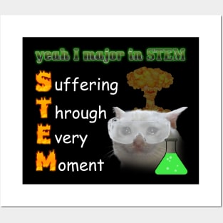 STEM Meme Posters and Art